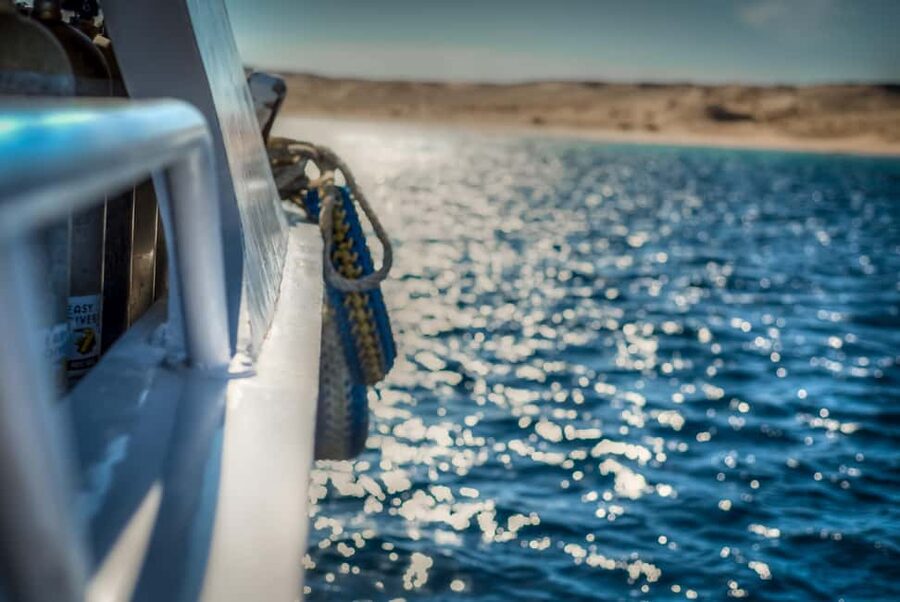 Marsa Alam:Sataya Reefs Dolphin Snorkeling Cruise with Lunch - What the $90 price really covers