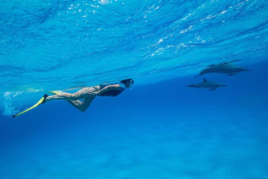 Marsa Alam:Sataya Reefs Dolphin Snorkeling Cruise with Lunch - Leaving the marina for the Red Sea