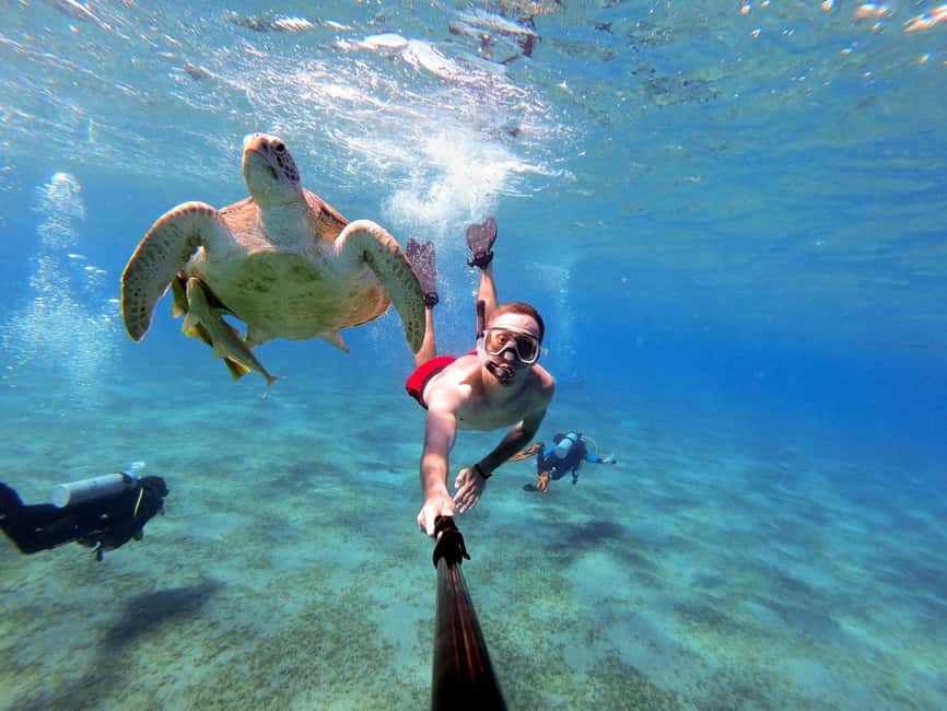 Marsa Alam: Snorkeling with Sea Turtles Marsa Mubarak - Key points at a glance