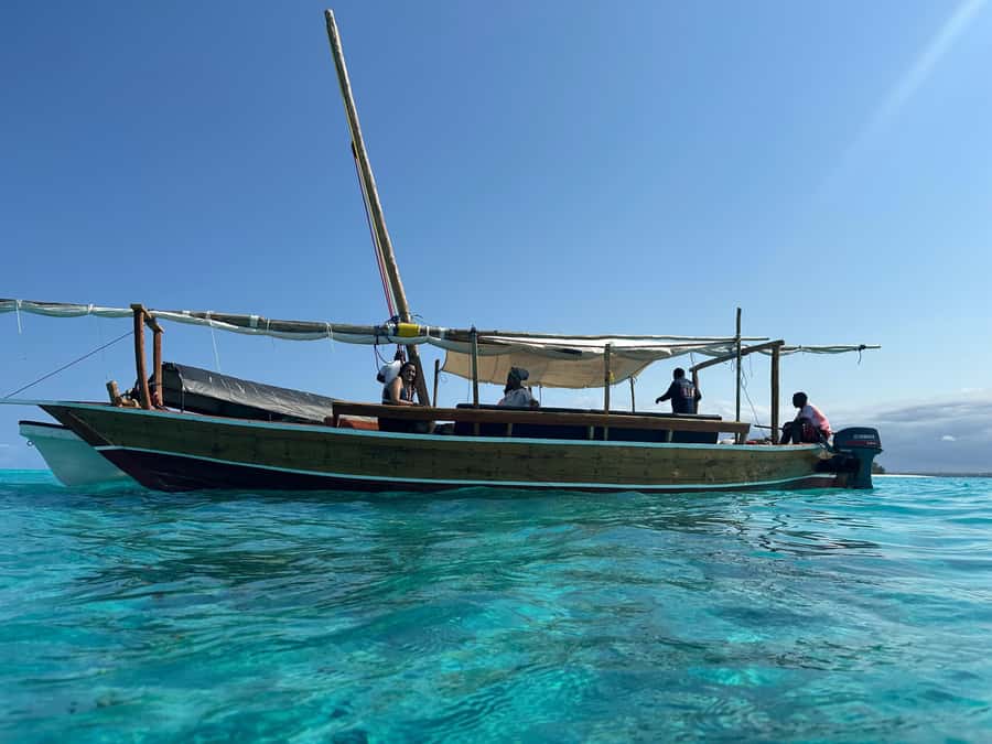 Matemwe: Mnemba Island Dolphin & Snorkeling Boat Trip - A low-cost route to Mnemba’s blue water