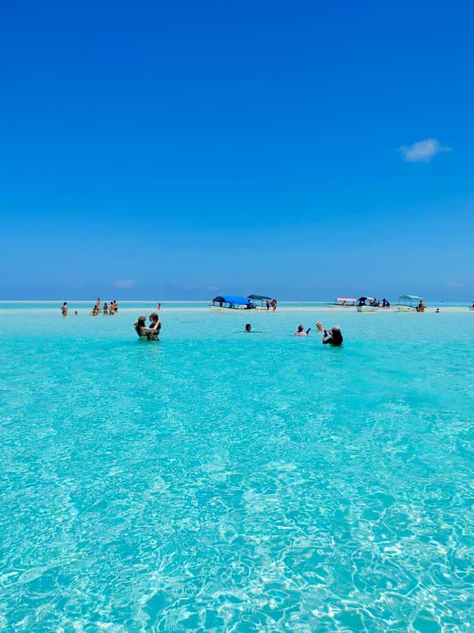 Matemwe: Mnemba Island Dolphin & Snorkeling Boat Trip - Meeting at Matemwe Beach by 8:30