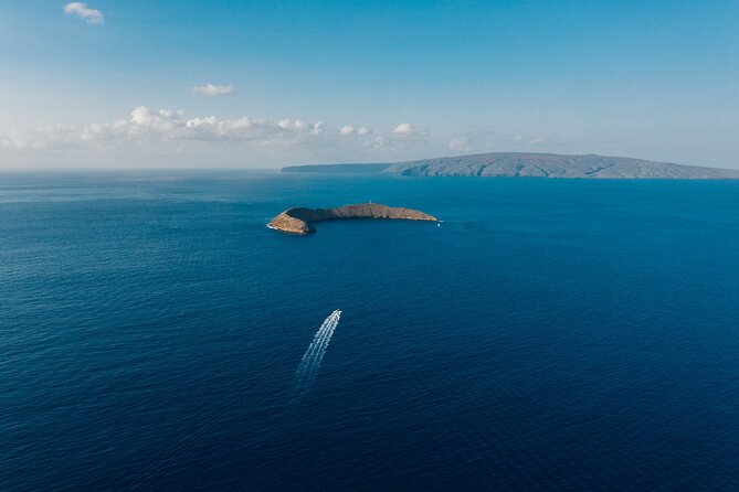 Maui: 2-Hour Molokini Snorkel Trip - Choosing between 7 a.m. and 9:30 a.m.
