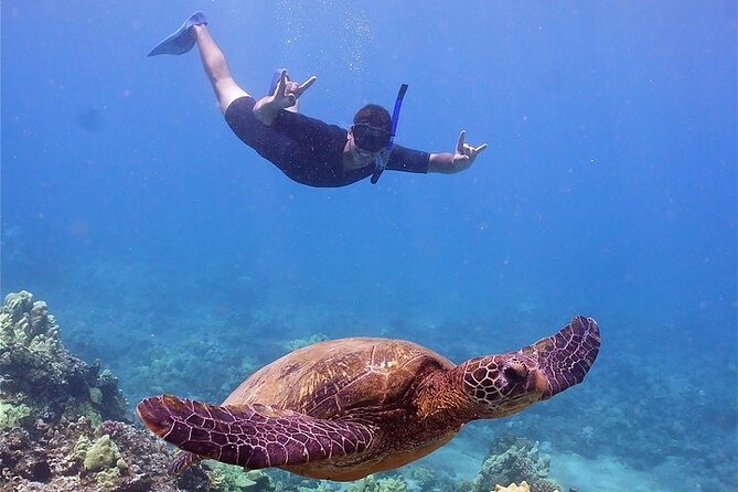 Maui Afternoon Snorkel Aboard Malolo to Molokini or Coral Gardens - Life aboard the 55-foot Malolo