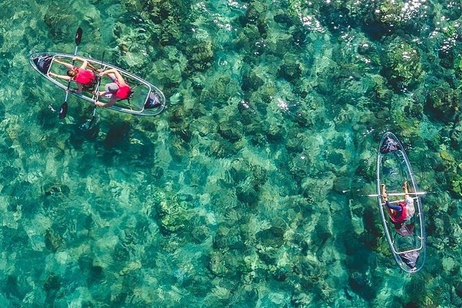 Maui Clear Kayak and Snorkel Tour: Swim with turtles (Makena) - Key points to know before booking
