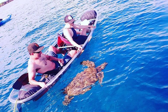 Maui Clear Kayak and Snorkel Tour: Swim with turtles (Makena) - The practical details that matter