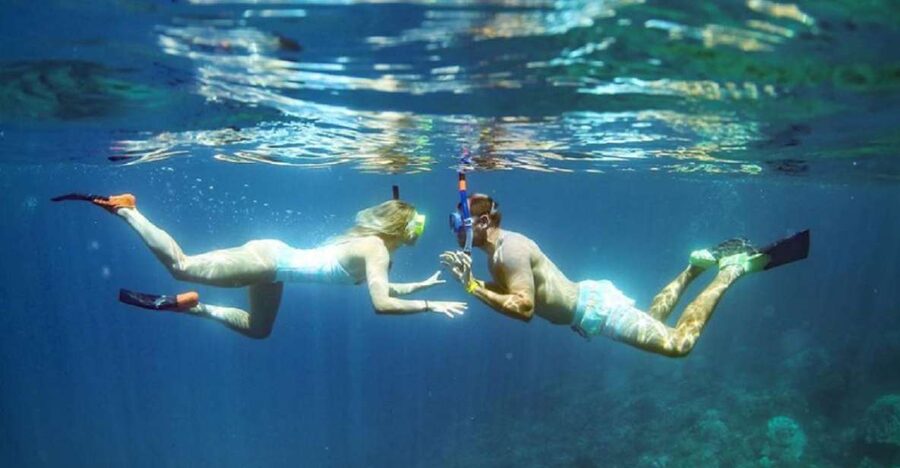 Maui: Kaanapali Beach 4-hour Snorkel w/ BBQ Lunch & Open Bar - Lunch that feels more substantial than boat snacks