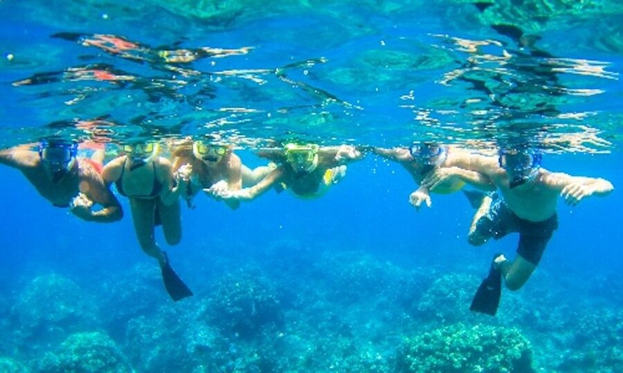 Maui: Kaanapali Beach 4-hour Snorkel w/ BBQ Lunch & Open Bar - What the $167 price really covers