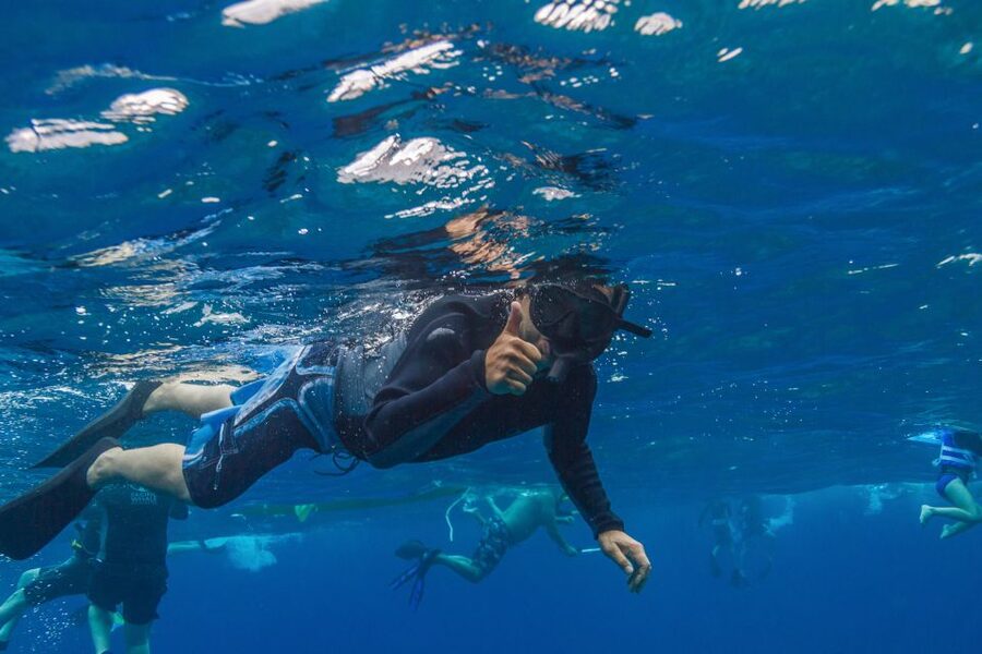 Maui: Lanai Snorkel & Dolphin Watch with Lunch - Who will enjoy this Lanai excursion most