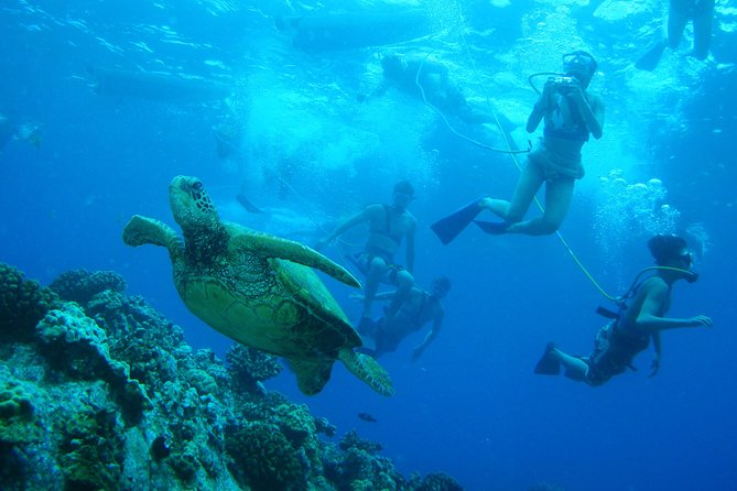 Maui: Molokini and Turtle Town Snorkeling aboard Pride of Maui - Is the boat comfortable for families?
