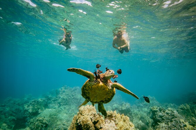 Maui: Molokini Crater and Turtle Town Snorkeling From Kihei - What is included after the swim