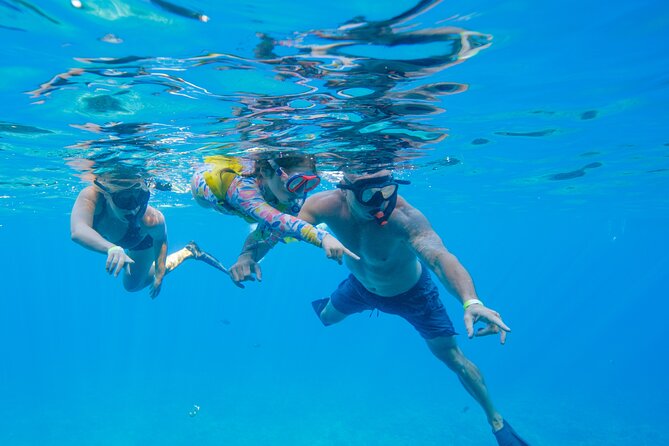 Maui: Molokini Crater and Turtle Town Snorkeling From Kihei - How the $179 price stacks up