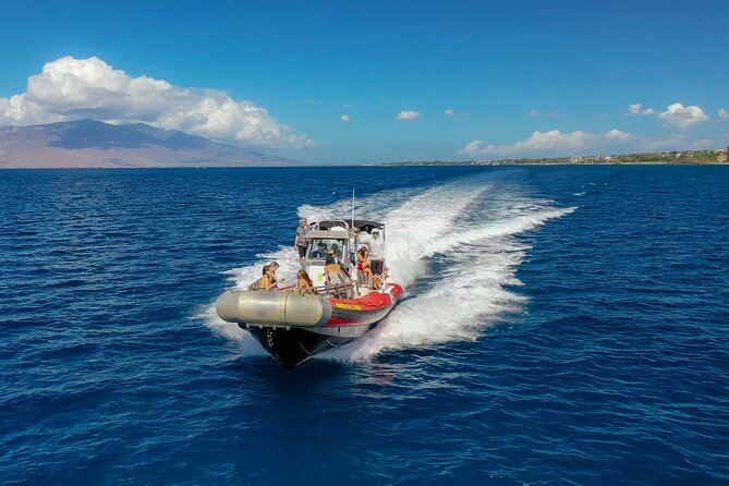 Maui: Molokini Crater and Turtle Town Snorkeling From Kihei - Turtle Town: the encounter people remember