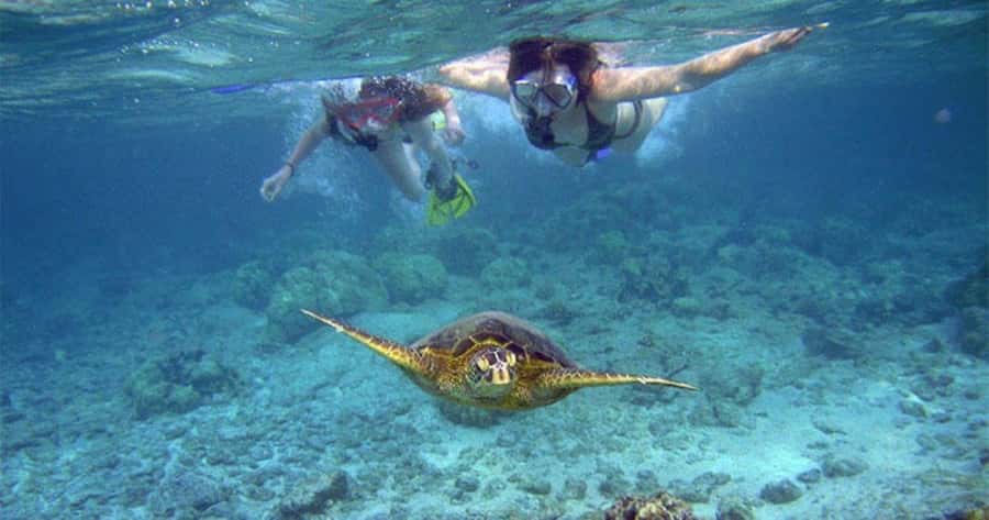 Maui: Molokini Crater and Turtle Town Snorkeling Tour - 3 hr - Why the Small Boat Changes the Molokini Experience