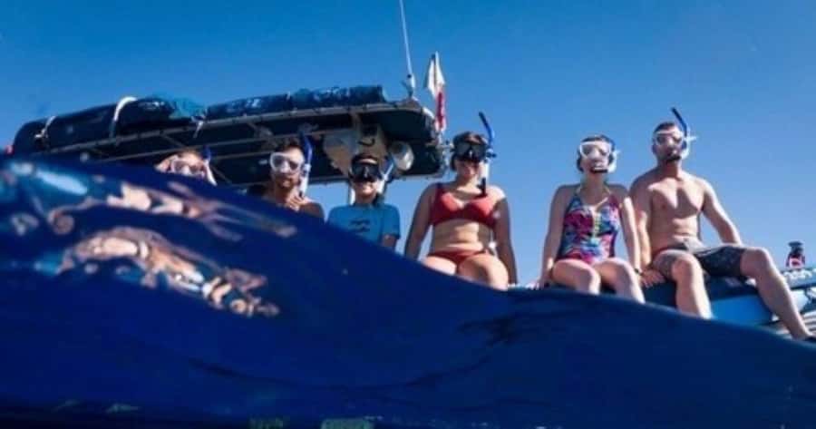 Maui: Molokini Crater and Turtle Town Snorkeling Tour - 3 hr - What Molokini Crater Is Like in Practice