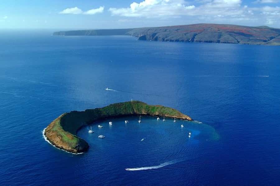 Maui: Molokini Express Snorkeling Tour - 2 hours - A two-hour schedule that puts water time first