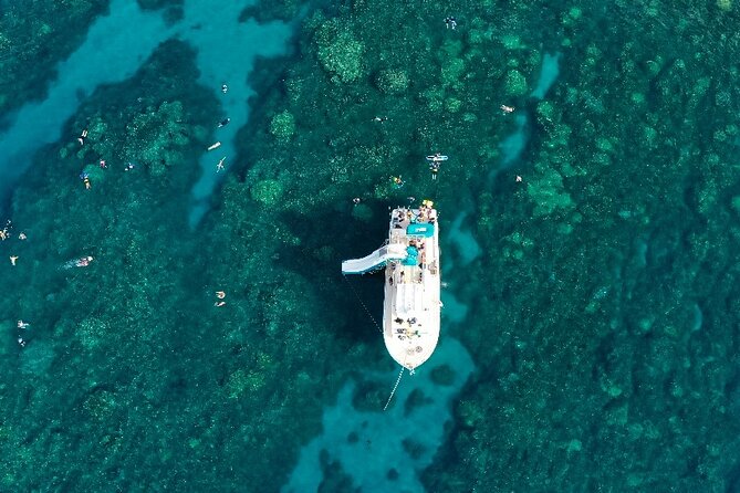 Maui: Molokini & Turtle Town Snorkel & Waterslide Adventure - The waterslide is more than a side attraction