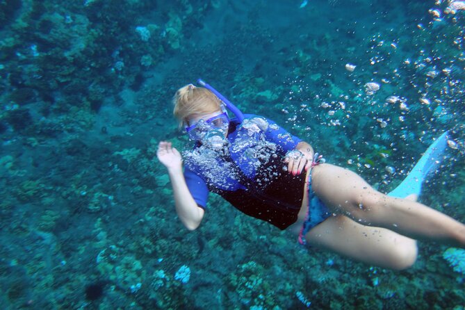 Maui: Molokini & Turtle Town Snorkel & Waterslide Adventure - Weather, cancellations, and timing