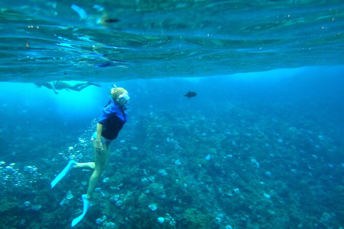 Maui: Molokini & Turtle Town Snorkel & Waterslide Adventure - Turtle Town and the search for sea turtles