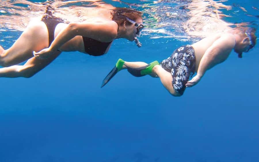 Maui: Semi-Private Eco-Raft Lanai Snorkel & Dolphin Tour - Key points to know before you book