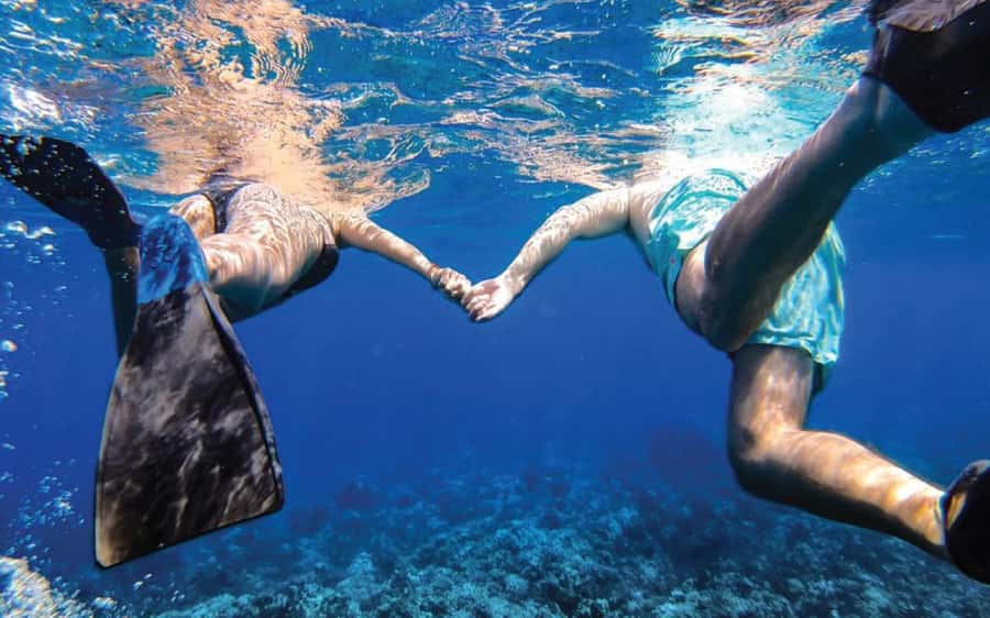 Maui: Semi-Private Eco-Raft Lanai Snorkel & Dolphin Tour - Should you book the Lanai eco-raft tour?