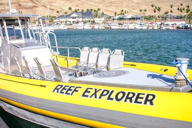 Maui Snorkel Adventure: Molokini Crater and Turtle Cove - A flexible plan when weather changes