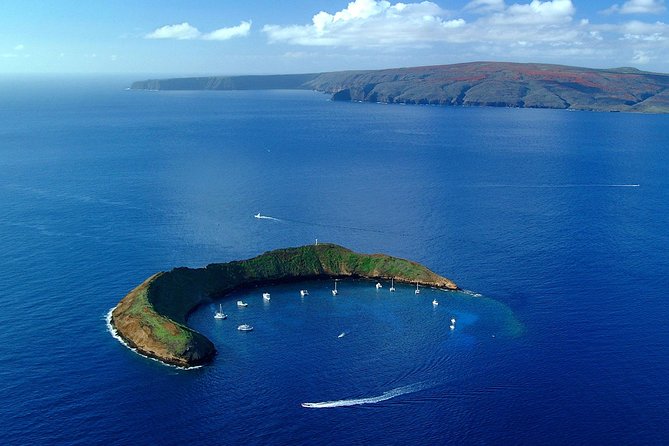 Maui Snorkeling Adventure From Ma'alaea Harbor to Molokini - The early start at Maalaea Harbor