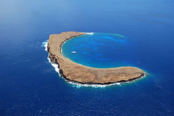 Maui Snorkeling Adventure to Molokini and Turtle Town - Quick Points Before You Book