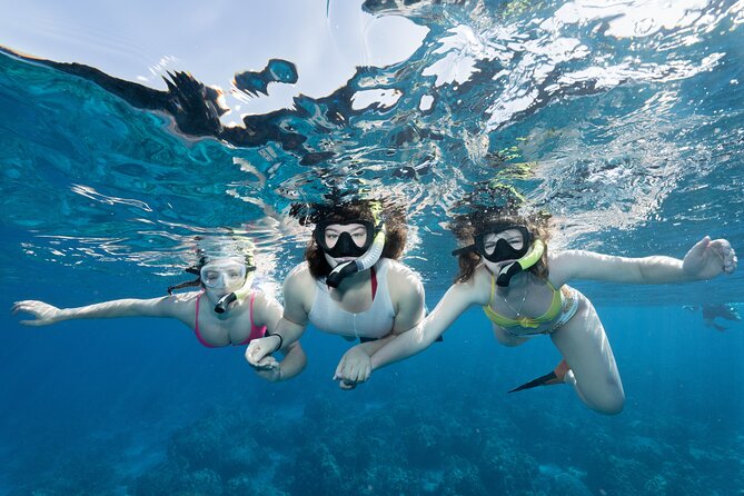 Maui Snorkeling Boat Tour to Turtle Town Aboard Quicksilver - Key points to know before you book