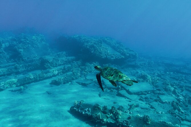 Maui Snorkeling Boat Tour to Turtle Town Aboard Quicksilver - A four-hour boat day from Ma‘alaea Harbor