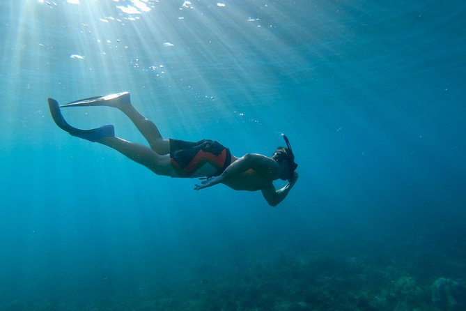 Maui Snorkeling Boat Tour to Turtle Town Aboard Quicksilver - What the crew does well, and where service can vary