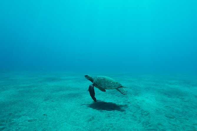 Maui Snorkeling Boat Tour to Turtle Town Aboard Quicksilver - Practical tips for a smoother morning