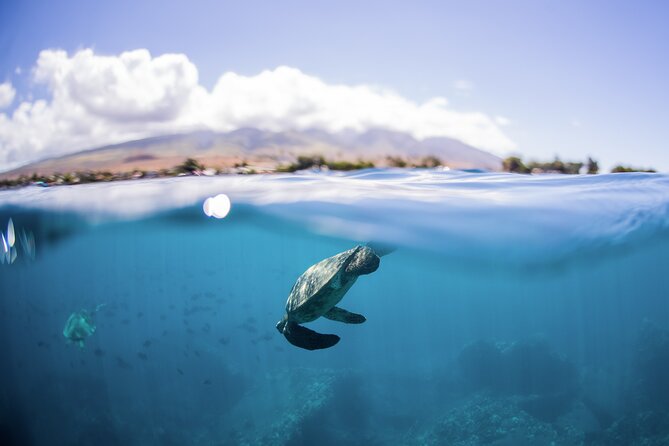 Maui Snorkeling Boat Tour to Turtle Town Aboard Quicksilver - The ride to South Maui’s snorkeling grounds