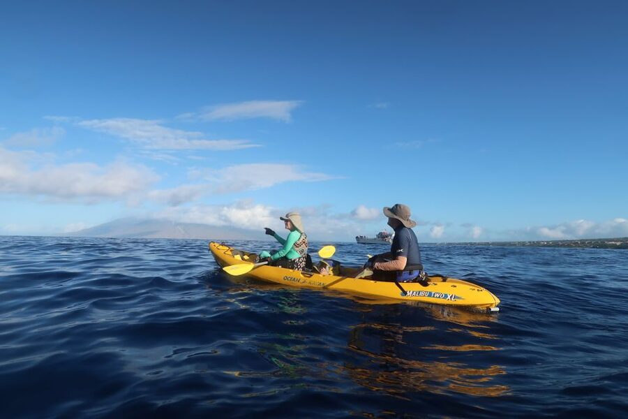 Maui: Turtle Town Kayak and Snorkel Tour - Key points to know before you book