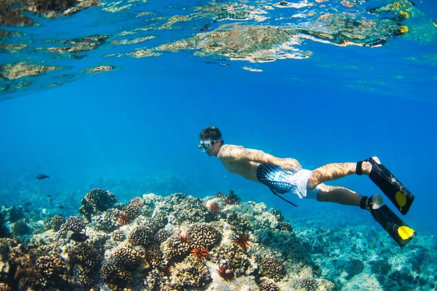 Maui: Turtle Town Kayak and Snorkel Tour - Why Turtle Town works so well for a first Maui ocean outing