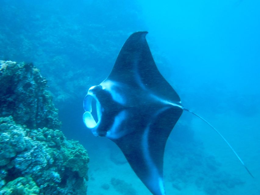 Maui: Turtle Town Kayak and Snorkel Tour - The first paddle across Makena Bay