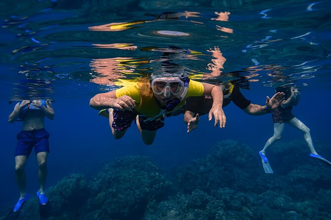 Maui: Turtle Town Snorkel with Photo and Video - Why the small group matters