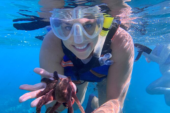 Maui: Turtle Town Snorkel with Photo and Video - Photos, video, and the value of the $129 price