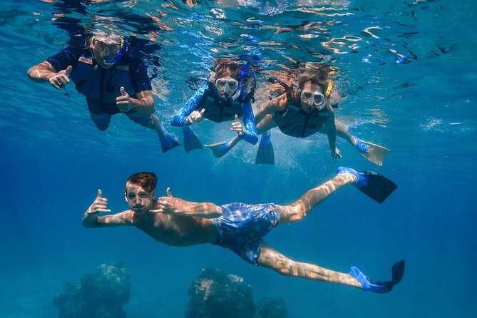 Maui: Turtle Town Snorkel with Photo and Video - Who will enjoy this snorkel most