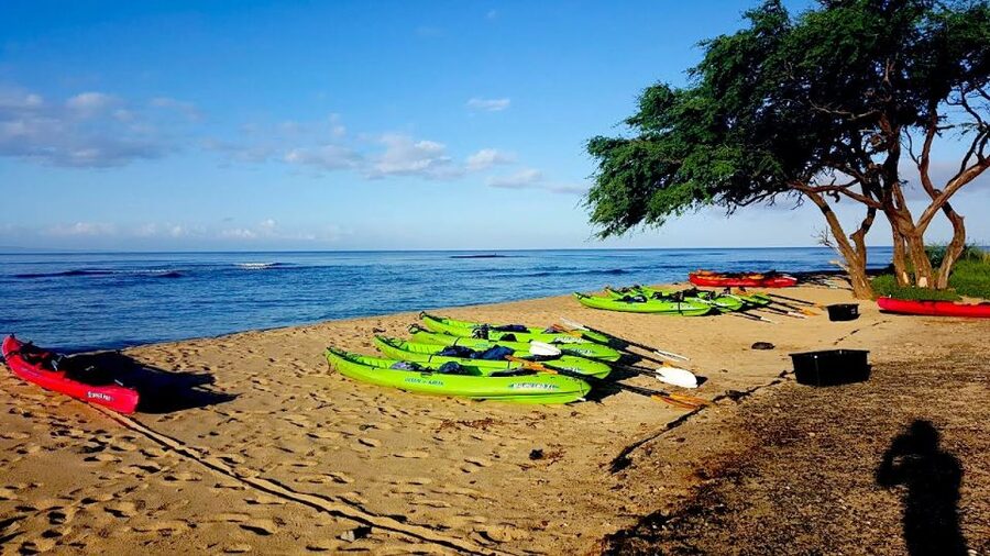 Maui: West Side Discovery Kayak & Snorkel from UKUMEHAME - The first 20 minutes: safety, gear, and getting comfortable