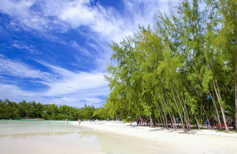 Mauritius: 5 East Coast Islands Tour with Snorkeling & Lunch - Snorkeling at Eau Bleu and swimming stops