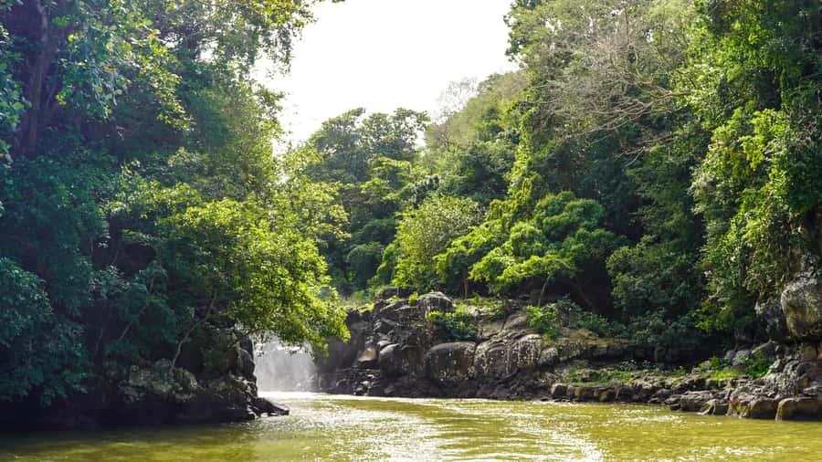 Mauritius: 5 East Coast Islands Tour with Snorkeling & Lunch - Lunch on Ile aux Margenie