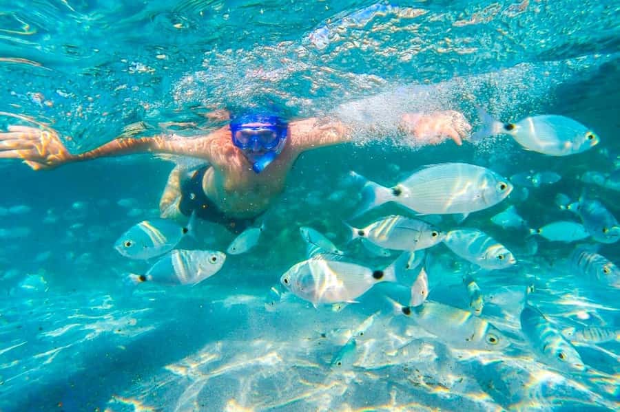 Mauritius: 5 East Coast Islands Tour with Snorkeling & Lunch - Wildlife is possible, not guaranteed