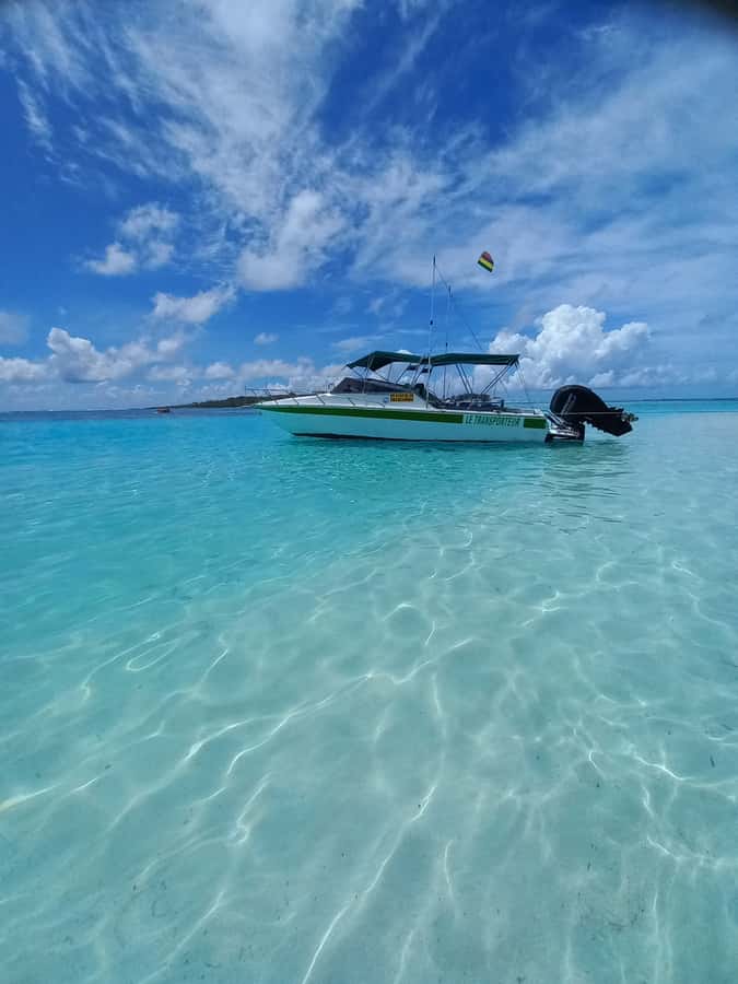 Mauritius: Snorkeling with turtles Le Transporteur speedboat - Key points at a glance