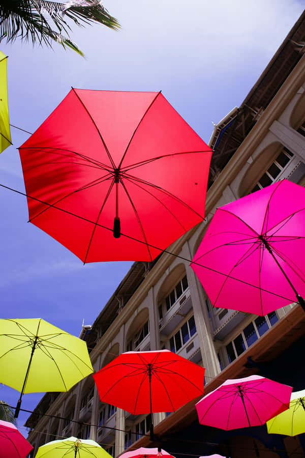 Mauritius: Snorkeling with Turtles & Port Louis Street Food - Leaving Trou aux Biches by boat