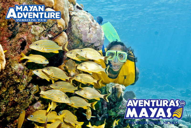 Mayan Adventure - 3 different snorkeling sites in one day! - Three ecosystems, one busy day