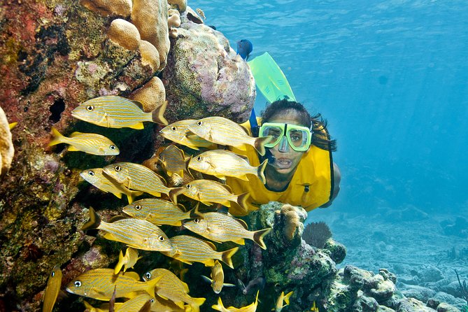 Mayan Adventure Snorkeling Tour from Playa del Carmen or Riviera Maya - Three aquatic worlds in seven hours