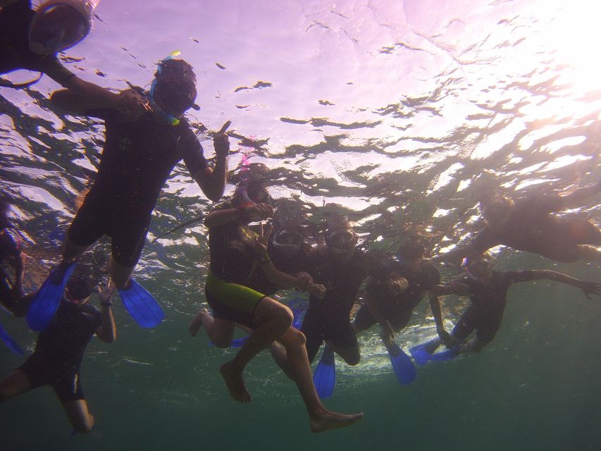 Menorca: Snorkeling Safari Tour - Who will get the most from this boat trip