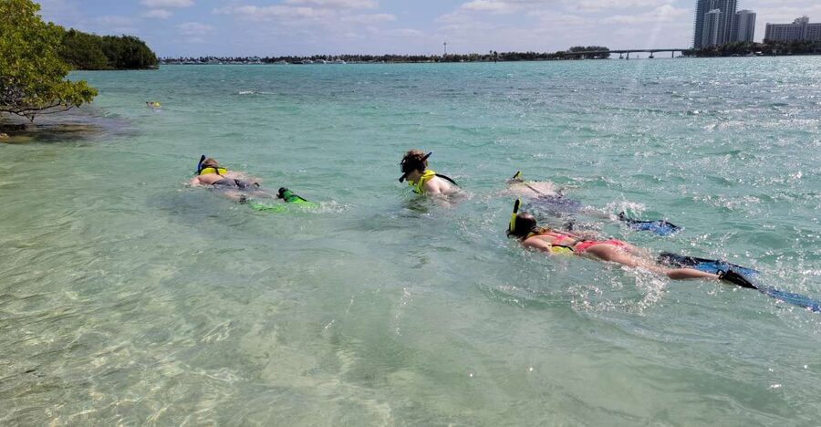 Miami: Beginner-Friendly Island Snorkeling by SUP or Kayak - Who Will Enjoy This Most