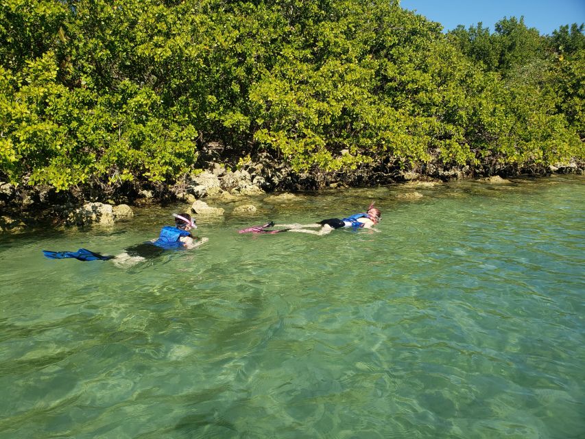 Miami: Beginner-Friendly Island Snorkeling by SUP or Kayak - Paddling Through the Mangroves