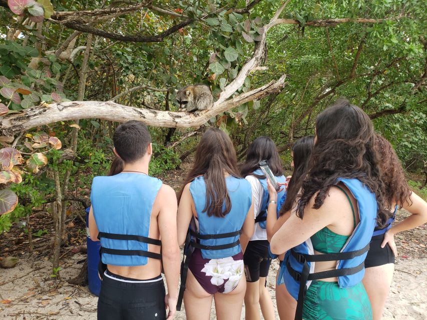 Miami: Beginner-Friendly Island Snorkeling by SUP or Kayak - Crossing to Sandspur Island